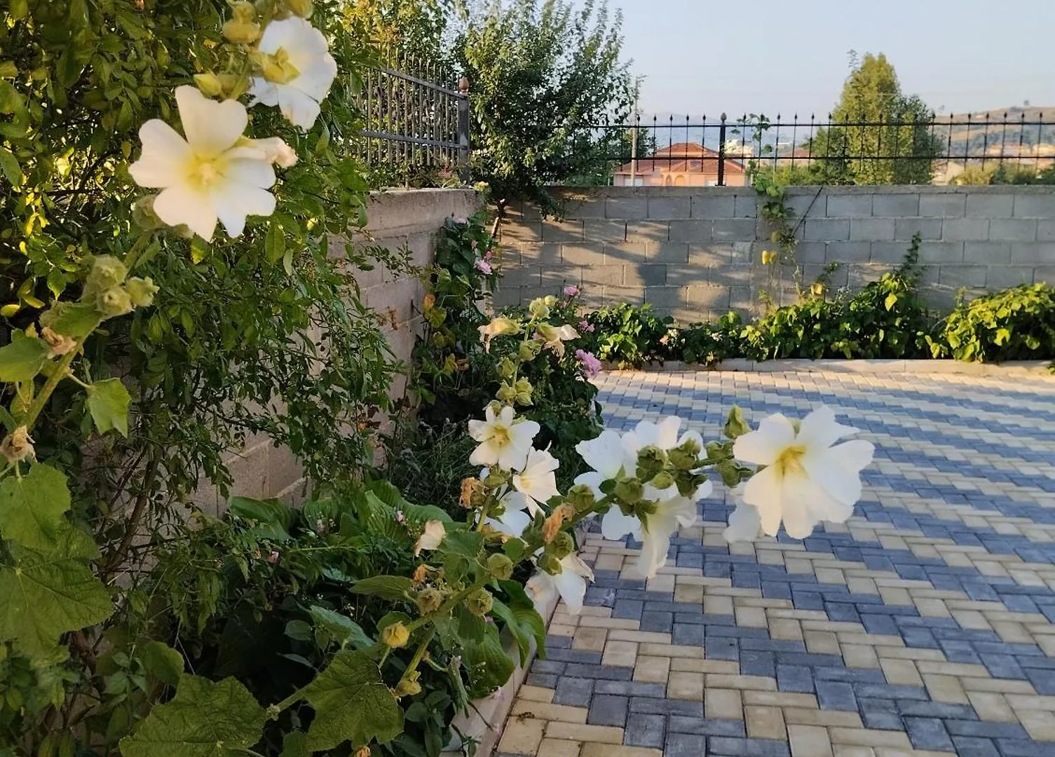 Dhoma Romantike , Qetesi Absolute! Hotel Korce Albania